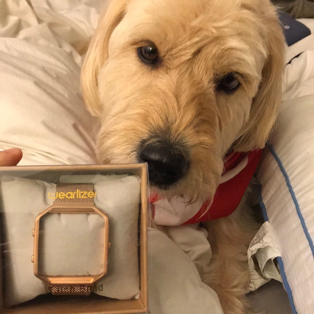 Fitbit wristband watch holder